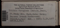 Image Associated With the Occurence